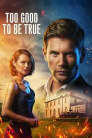Too Good to Be True: Season 1